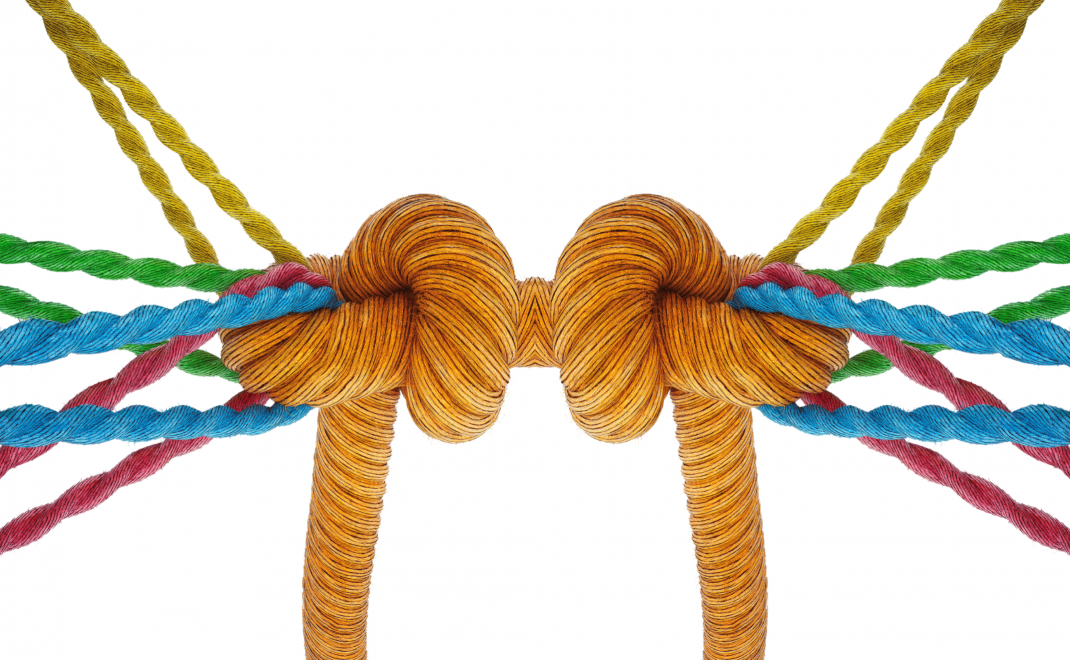 Economía popular y cooperativismo