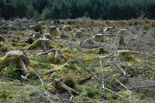 Uso y tenencia de la tierra: Desarmar el sentido común imperante 