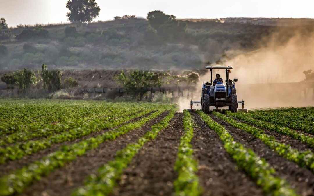 Agronegocios: Disputa discursivo-ideológica en el agro